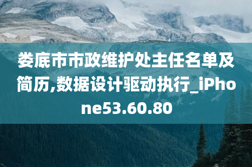 娄底市市政维护处主任名单及简历,数据设计驱动执行_iPhone53.60.80