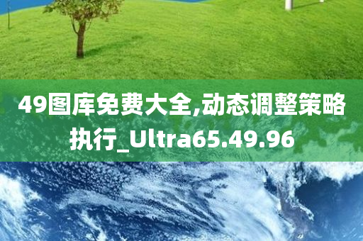 49图库免费大全,动态调整策略执行_Ultra65.49.96