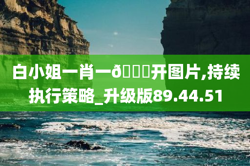 白小姐一肖一??开图片,持续执行策略_升级版89.44.51