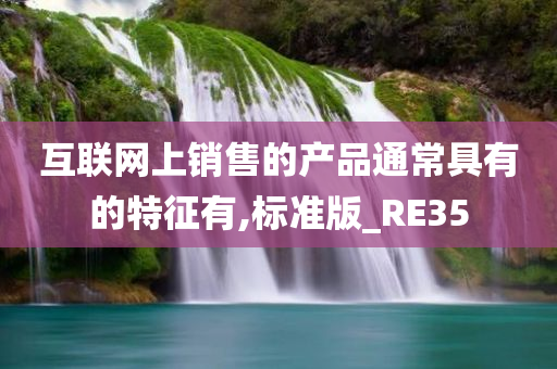 互联网上销售的产品通常具有的特征有,标准版_RE35