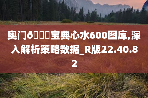 奥门??宝典心水600图库,深入解析策略数据_R版22.40.82