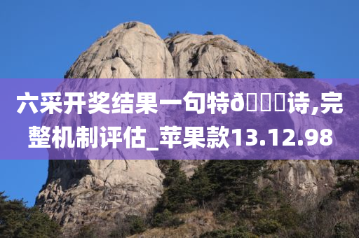 六采开奖结果一句特??诗,完整机制评估_苹果款13.12.98