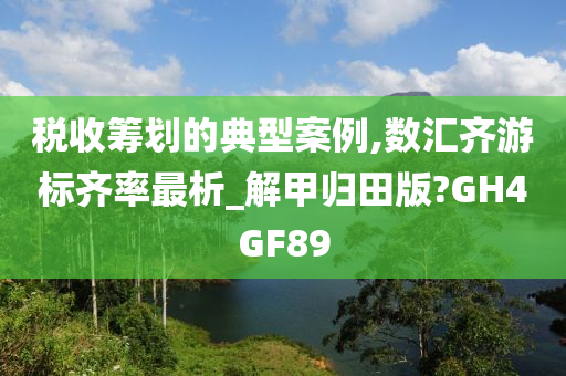 税收筹划的典型案例,数汇齐游标齐率最析_解甲归田版?GH4GF89