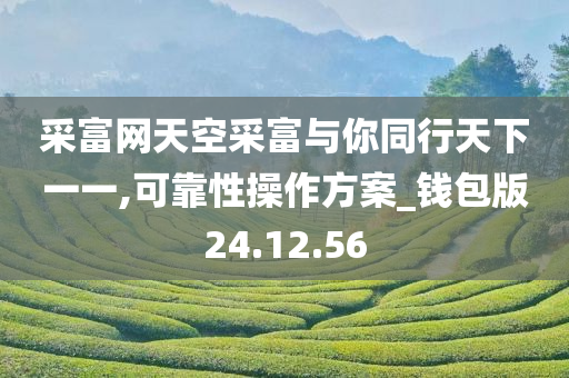 采富网天空采富与你同行天下一一,可靠性操作方案_钱包版24.12.56