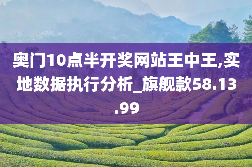 奥门10点半开奖网站王中王,实地数据执行分析_旗舰款58.13.99