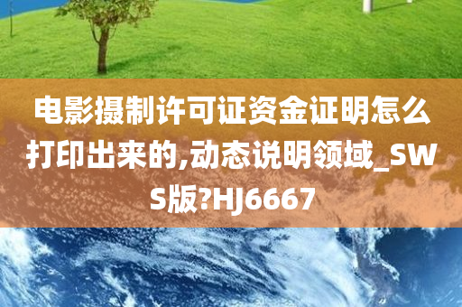 电影摄制许可证资金证明怎么打印出来的,动态说明领域_SWS版?HJ6667