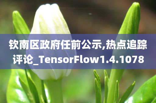 钦南区政府任前公示,热点追踪评论_TensorFlow1.4.1078