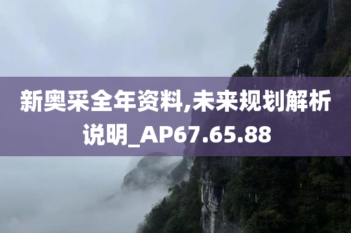 新奥采全年资料,未来规划解析说明_AP67.65.88