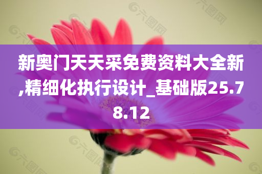 新奥门天天采免费资料大全新,精细化执行设计_基础版25.78.12