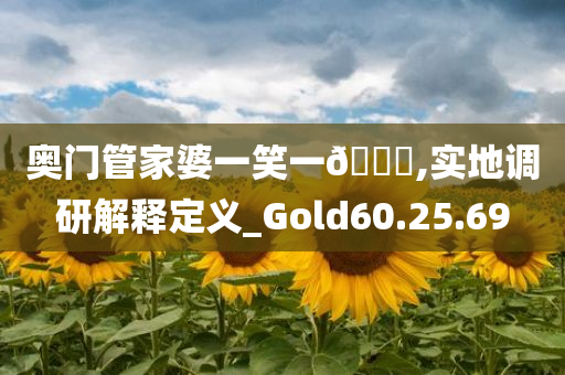奥门管家婆一笑一??,实地调研解释定义_Gold60.25.69