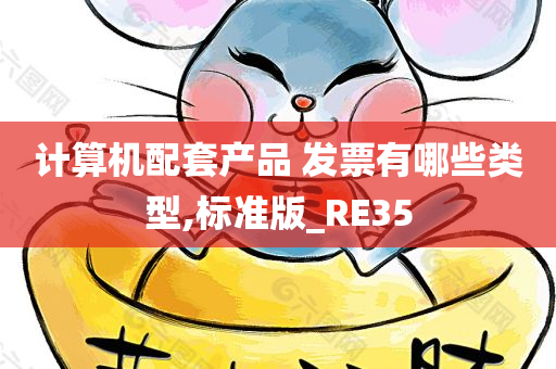 计算机配套产品 发票有哪些类型,标准版_RE35