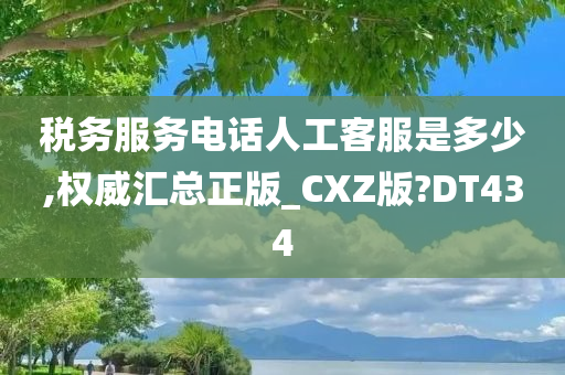税务服务电话人工客服是多少,权威汇总正版_CXZ版?DT434