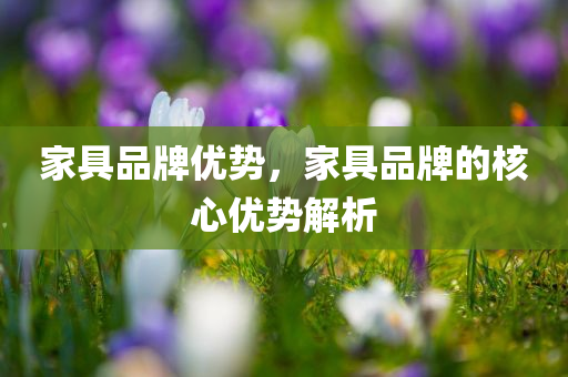 家具品牌优势，家具品牌的核心优势解析