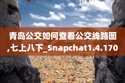 青岛公交如何查看公交线路图,七上八下_Snapchat1.4.1700