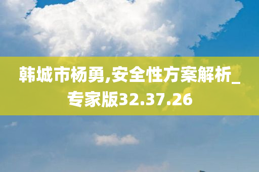 韩城市杨勇,安全性方案解析_专家版32.37.26