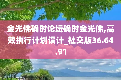 金光佛确时论坛确时金光佛,高效执行计划设计_社交版36.64.91