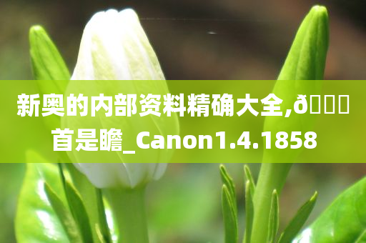 新奥的内部资料精确大全,??首是瞻_Canon1.4.1858