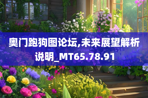 奥门跑狗图论坛,未来展望解析说明_MT65.78.91