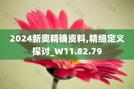 2024新奥精确资料,精细定义探讨_W11.82.79