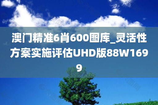 澳门精准6肖600图库_灵活性方案实施评估UHD版88W1699