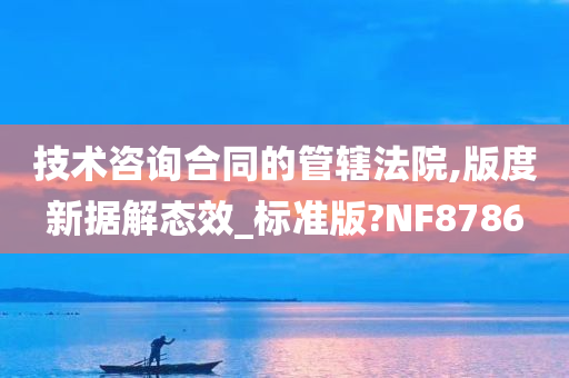 技术咨询合同的管辖法院,版度新据解态效_标准版?NF8786