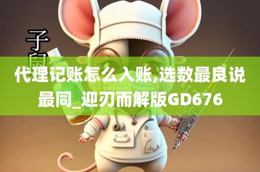 代理记账怎么入账,选数最良说最同_迎刃而解版GD676
