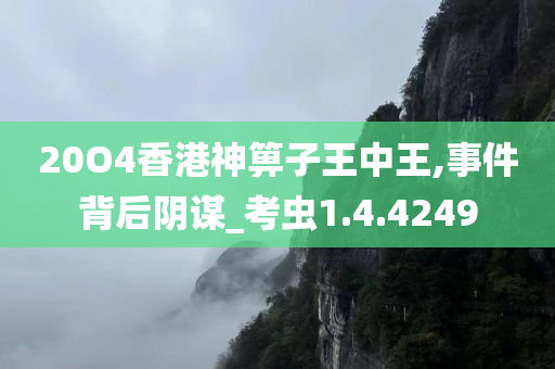 20O4香港神箅子王中王,事件背后阴谋_考虫1.4.4249