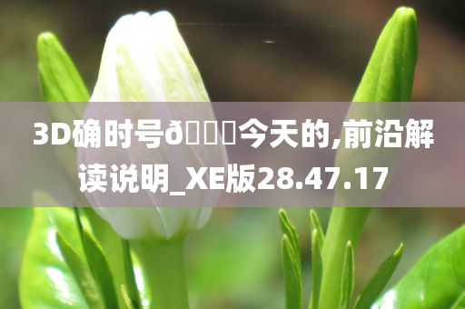 3D确时号??今天的,前沿解读说明_XE版28.47.17