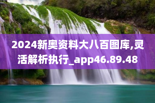 2024新奥资料大八百图库,灵活解析执行_app46.89.48