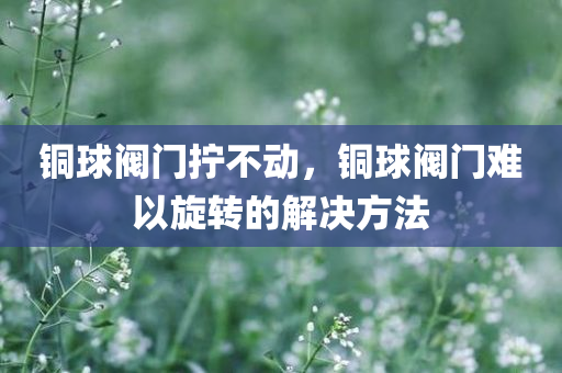 铜球阀门拧不动，铜球阀门难以旋转的解决方法