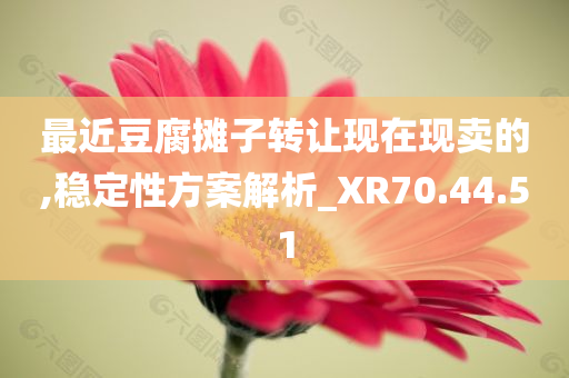 最近豆腐摊子转让现在现卖的,稳定性方案解析_XR70.44.51