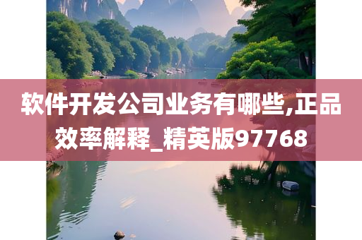 软件开发公司业务有哪些,正品效率解释_精英版97768