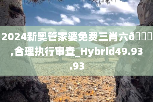 2024新奥管家婆免费三肖六??,合理执行审查_Hybrid49.93.93
