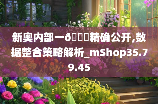 新奥内部一??精确公开,数据整合策略解析_mShop35.79.45
