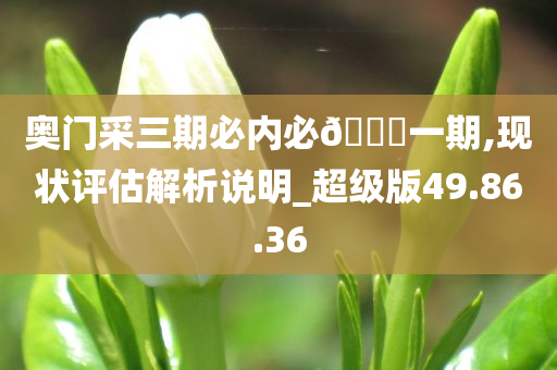 奥门采三期必内必??一期,现状评估解析说明_超级版49.86.36