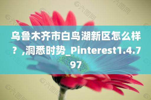 乌鲁木齐市白鸟湖新区怎么样？,洞悉时势_Pinterest1.4.797