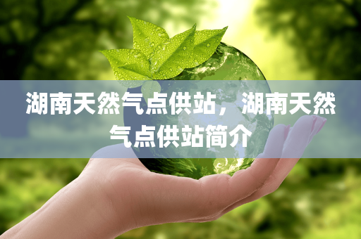 湖南天然气点供站，湖南天然气点供站简介