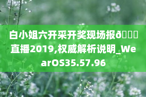白小姐六开采开奖现场报??直播2019,权威解析说明_WearOS35.57.96