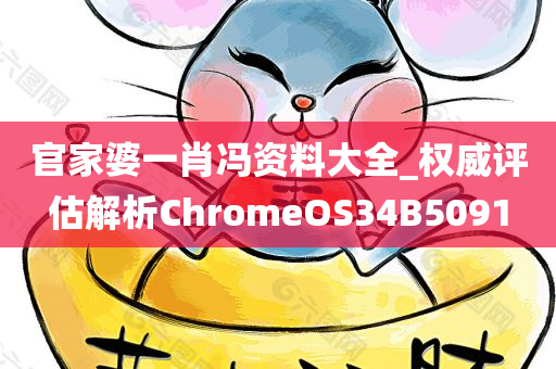 官家婆一肖冯资料大全_权威评估解析ChromeOS34B5091