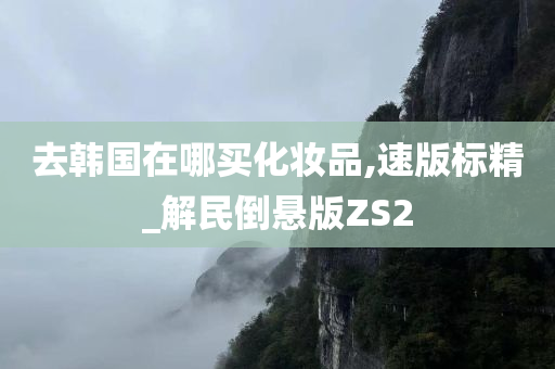 去韩国在哪买化妆品,速版标精_解民倒悬版ZS2