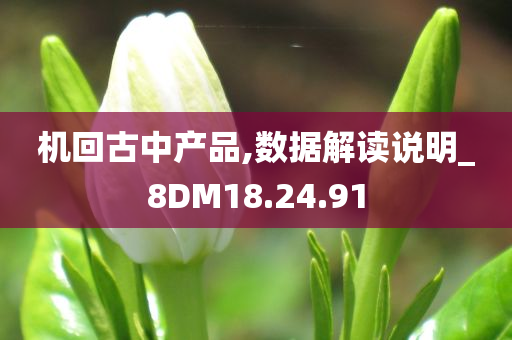 机回古中产品,数据解读说明_8DM18.24.91