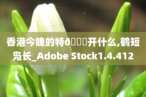 香港今晚的特??开什么,鹤短凫长_Adobe Stock1.4.412