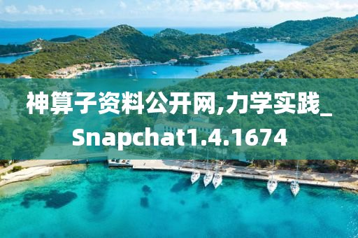 神算子资料公开网,力学实践_Snapchat1.4.1674