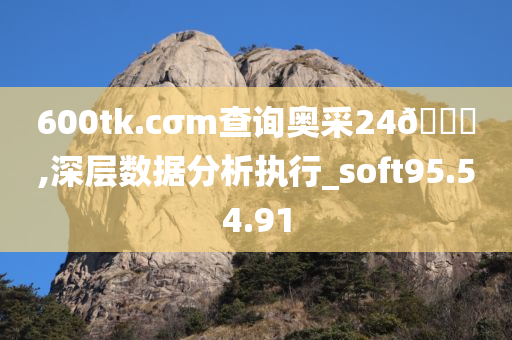 600tk.cσm查询奥采24??,深层数据分析执行_soft95.54.91