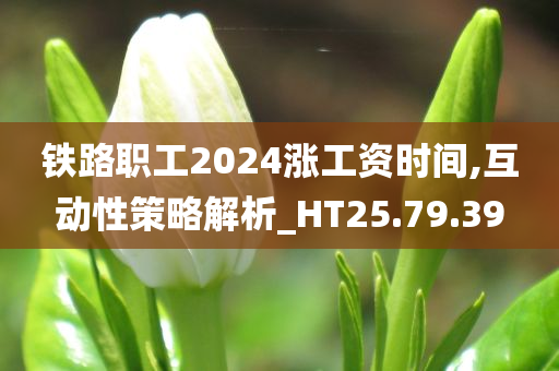 铁路职工2024涨工资时间,互动性策略解析_HT25.79.39