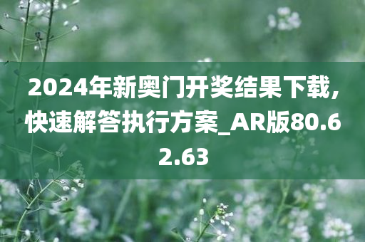 2024年新奥门开奖结果下载,快速解答执行方案_AR版80.62.63