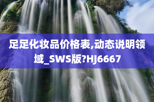 足足化妆品价格表,动态说明领域_SWS版?HJ6667