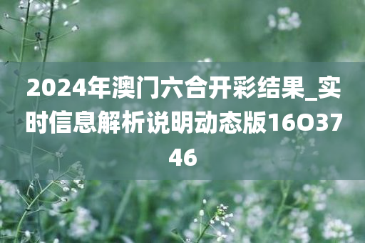 2024年澳门六合开彩结果_实时信息解析说明动态版16O3746