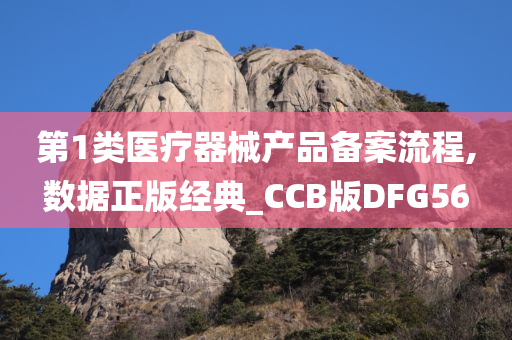第1类医疗器械产品备案流程,数据正版经典_CCB版DFG56