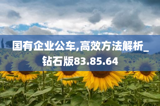 国有企业公车,高效方法解析_钻石版83.85.64